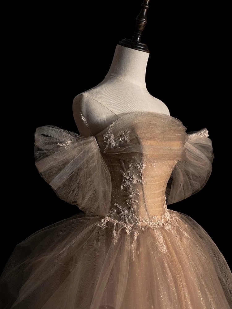 Champagne Glamorous Evening Gown French Elegant Princess Prom Dress Plus Size for Women