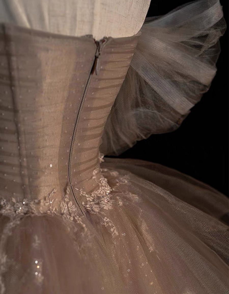 Champagne Glamorous Evening Gown French Elegant Princess Prom Dress Plus Size for Women