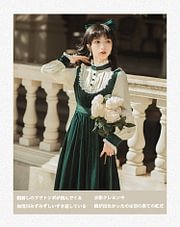 Classic Cintage Court Style Medieval Lolita Velvet Embroider French Princess Dress