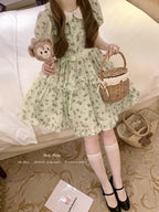 Pale Green Floral Sweet Dress Idyllic Lolita Dress