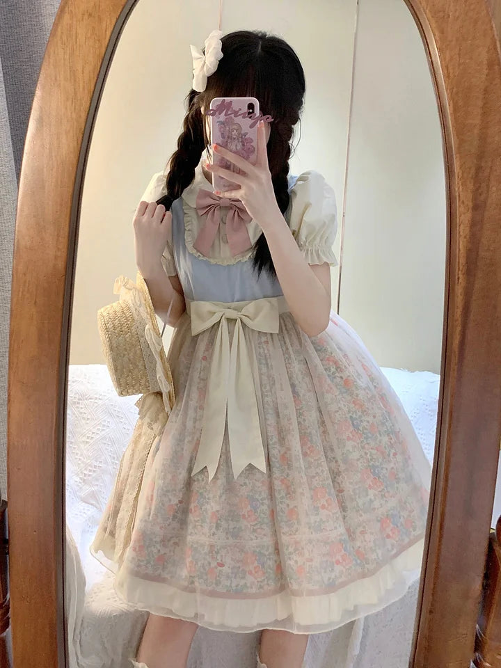 Pink Blue Lolita Dress Sweet Idyllic Floral Elegant Summer Short Sleeve Dress Cute