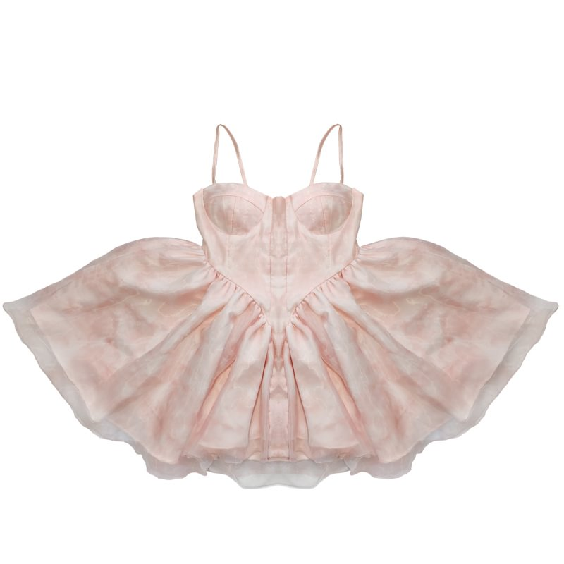 Hime Lolita Plus Size Dream Roselle Birthday Party Photo Birthday Party Banquet Dresses