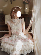 Hime Lolita Tea Party Fashion Pink Ethereal Pink Lace Dress with Sheer Panels Feather Embellishments