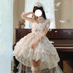 Hime Lolita Tea Party Fashion White Ethereal White Lace Dress with Sheer Panels Feather Embellishments