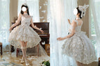 Hime Lolita Tea Party Fashion White Ethereal White Lace Dress with Sheer Panels Feather Embellishments
