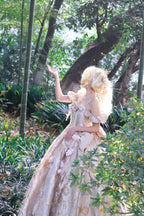 Hime LolitaTea Party Fashion Blue Long Dress Jacquard Ball Gown Prom Graduation Ceremony